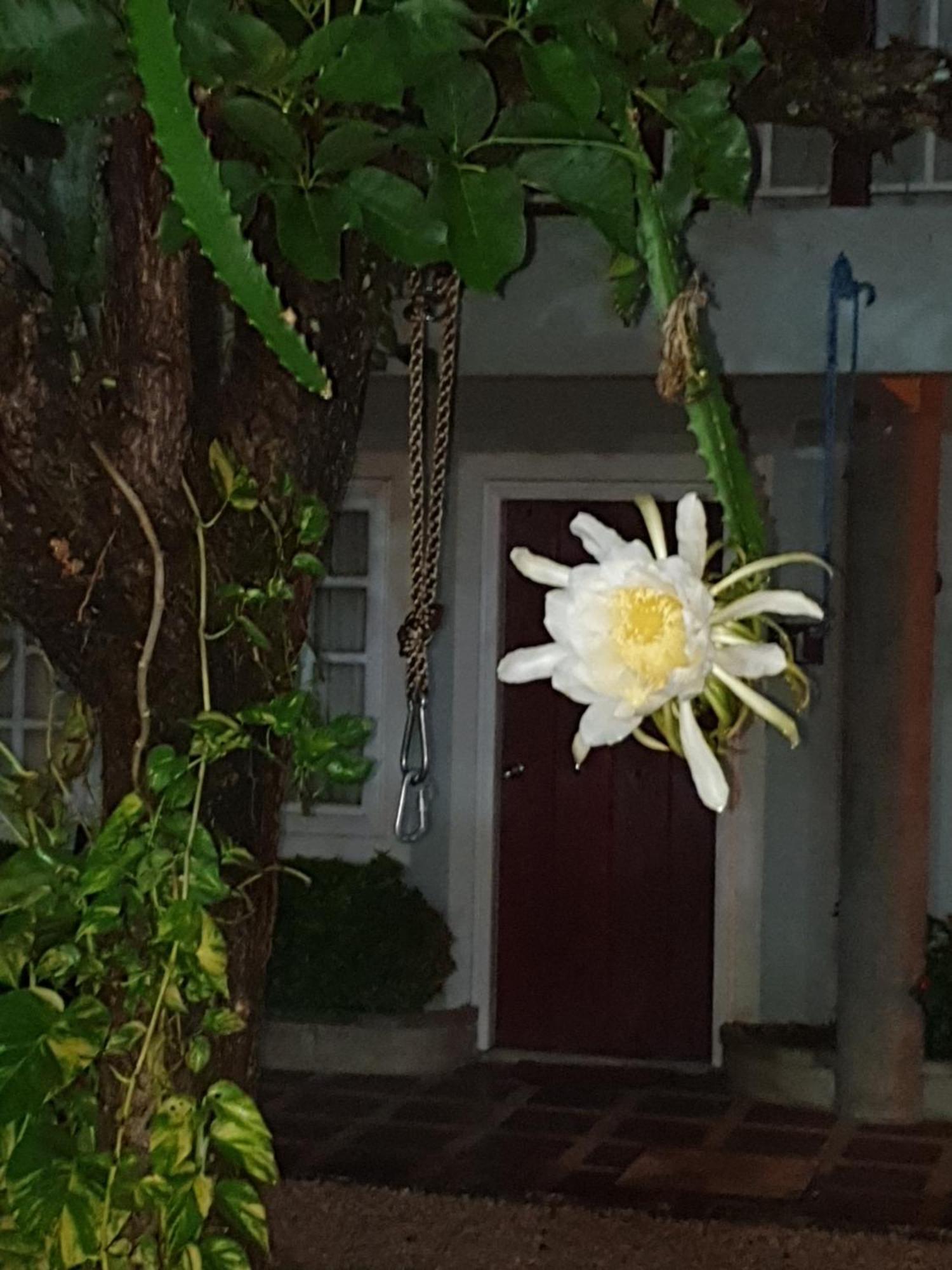 Hotel Liberia Dış mekan fotoğraf