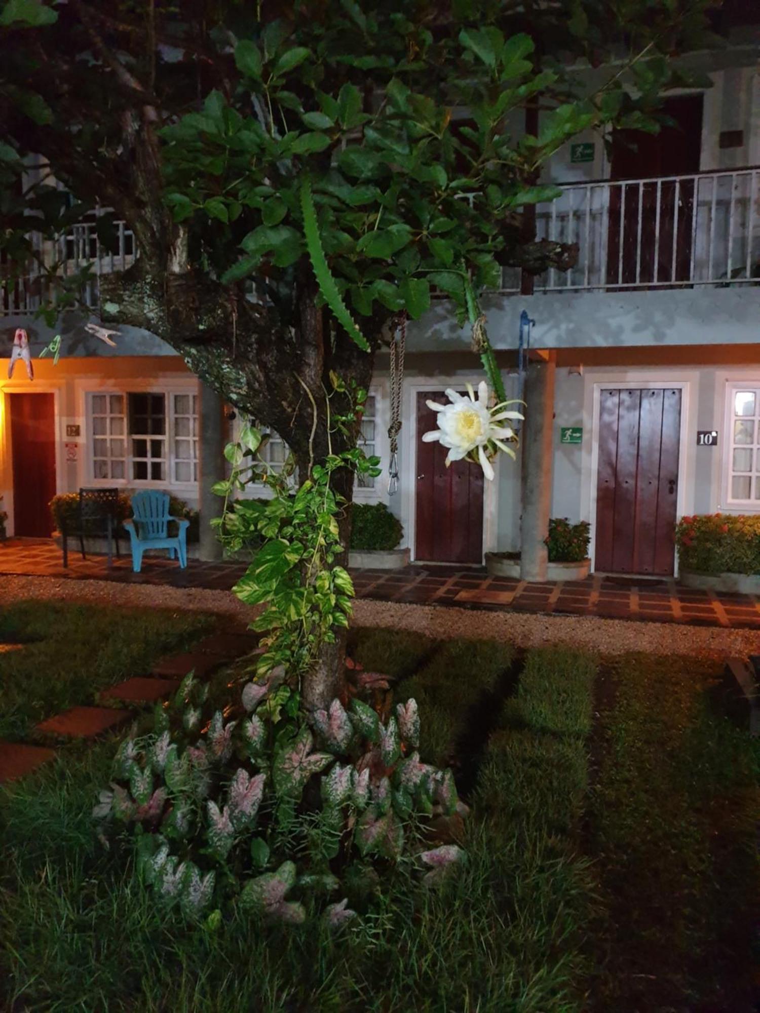 Hotel Liberia Dış mekan fotoğraf